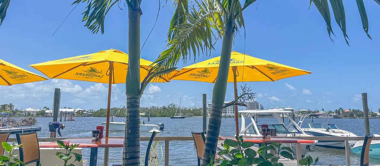 Falconry for Bird Abatement in Florida florida waterfront